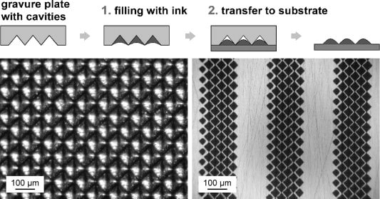 Detalhe da serrilhana rotogravura