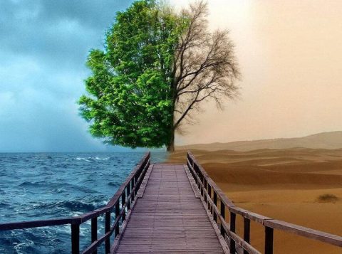 Escassez e abundancia